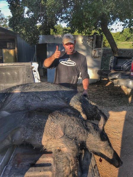 cheap hog hunting